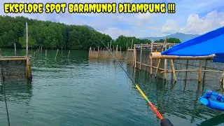 Spot Mancing Ikan Baramundi Dihutan Mangrove Lampung !! Mancing Pinggiran Laut