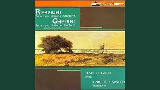 Violin Sonata in B Minor, P. 110: I. Moderato