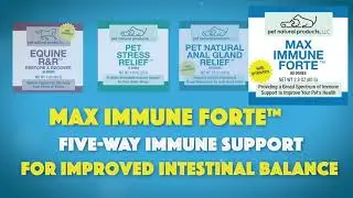 Natural Pet Products for Horses, Dogs and Cats