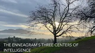 Centers of Intelligence Enneagram