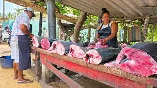 Wow! Village Fish Market&rsquo;s Culinary Secrets From Catch to Local Delicacy Sri Lanka