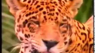 CN - Reklamy i zapowiedzi z 14 lutego 2000