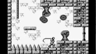 Castlevania Adventure II - Ripe Seeds + Original Sin Remix