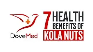 7 Health Benefits Of Kola Nuts