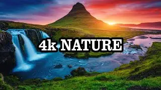 Nature real 4k sharp video by Scenic Views