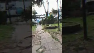 Compras en cuarentena