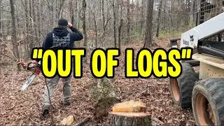 I Ran Out of Logs… So I Cut a Dead Pine Just in Time (Sawmill Save)