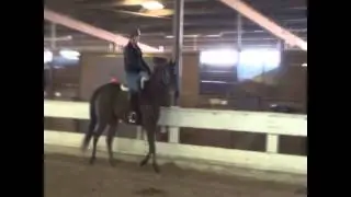 Callsign Cougar Jumping Sales Video