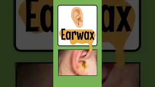 Earwax Explained 🤢 Gross but Cool Facts! | 60 Seconds of Wow!  #funscience #kidslearning #earwax
