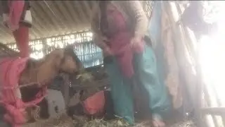 देख सकते हैं झोपड़ी में पूजा को क्या हो गया कमेंट करके जरूर बताएं