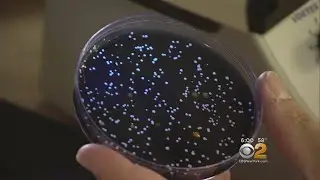 NYC Health Department Probes 3 Cases Of Legionnaires' Disease At Co-op City In The Bronx