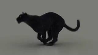 Black Jaguar - run cycle