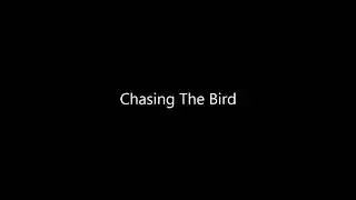 Jazz Backing Track - Chasing The Bird
