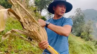 Rural Nepal 🇳🇵 I am working as a farmer pure village life
