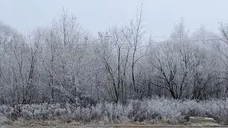 Зимнее счастье