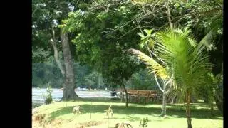 Sranang taki mix 2011(part 1)