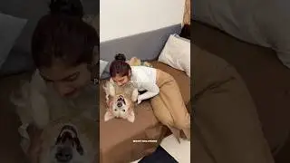 Life With a Dog |The Kind of Love That Stays | Dog Parent Moments 🐶| Pure Happiness in Everyday Life