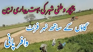 زرعی زمین برائے فروخت agricultural land for sale #canal #village Village Chichawatni Sahiwal