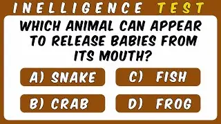 Only 5% Can Score 80/80 on This MCQ Quiz