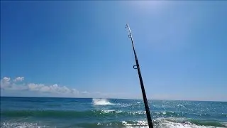 Got Spooled By An HUGE Tarpon! Insane Mullet Run! Beach Fishing Is On FIRE🔥