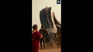 LIVE: Funny AI Monkey Shorts 😂🐵 | Massive Creature Comedy | Hindi