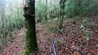 Becada Pereiro 15/12/2019