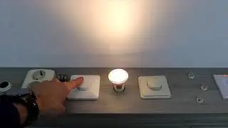 Philips LED lamp GU10 4,9Watt dimbaar 220Volt