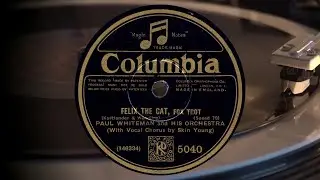 Paul Whiteman and his Orchestra: Felix the Cat - Fox Trot [1928]