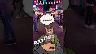 POV: Night Market Crowd&hellip; Cat Up My Pants Leg!? #cat #funny #catsofinstagram #cute #catmemes #pets