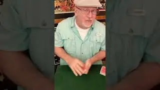 Card Trick Lies / Jumping Gemini #shorts