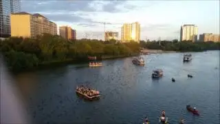 Bat fest 2014