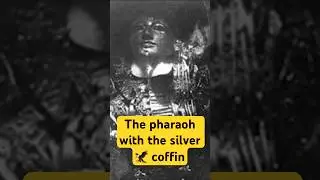 This pharaoh was buried in a silver falcon sarcophagus  #ancientrelics #ancientegypt