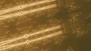 inverted HDPZ buffalo zoom