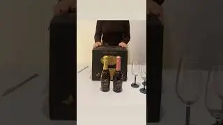POV: Your sober friend just unpacked 🍾 #champagne #winelover #alcoholfree