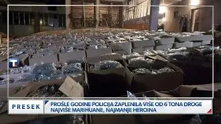 Zaplenjeno više od šest tona droge tokom prošle godine u Srbiji