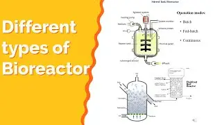 Different types of bioreactors| Explained| Biochemical & Bioprocess Engineering