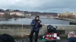 Canon in D played by a Czech violinist in Prague