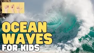 ASL Ocean Waves for Kids &ndash; INTERACTIVE