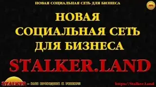 Презентация социальной сети для бизнеса Stalker Land