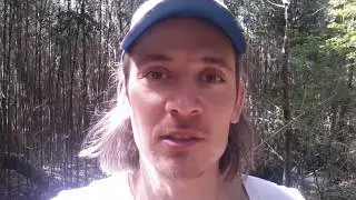 Сассапариль, смилакс, съедобная колючка. Лекарственное растение
