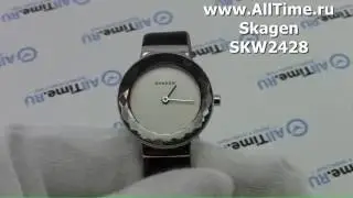Обзор. Женские наручные часы Skagen SKW2428