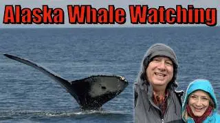 ALASKA'S MOST AMAZING Whale Watching Adventures!