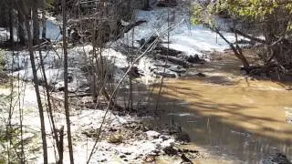 DSCF1175