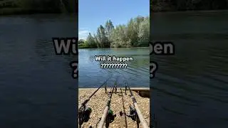 Carp life hunts corner in the net! #carpfishing #carpfish #linear#fishing #carpbites&runsuk