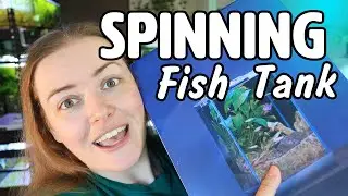 This BETTA tank SPINS 😲 V2 Vista Cube Unboxing