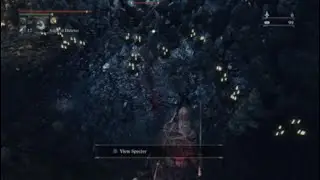 Bloodborne pvp 2025
