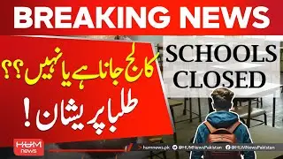 College-going students across Punjab worried | Education News | Hum News | Pakistan