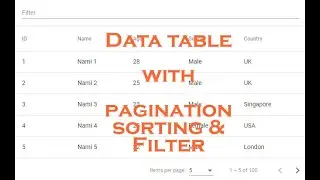 Data table with pagination sorting and filter