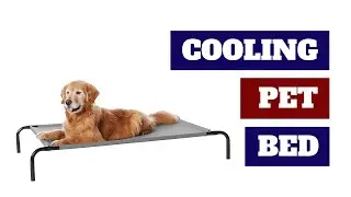Cooling Pet Bed Review | Top Pet Bed | Best Cooling Pet Bed | Pet Bed Review| Pets Queen Tech | 2022