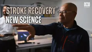 Can a digital dolphin help stroke survivors recover faster?